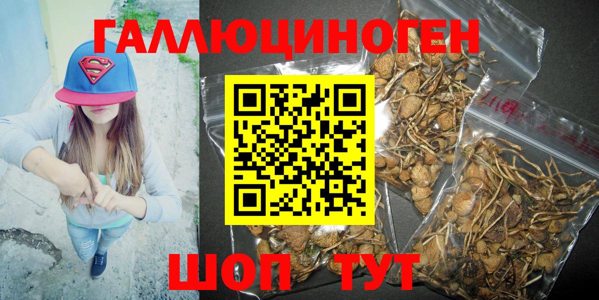 Кинель  Галлюциногенные грибы Psilocybe  Вход с VPN  Псилоцибиновые грибы Psilocybine cubensis 